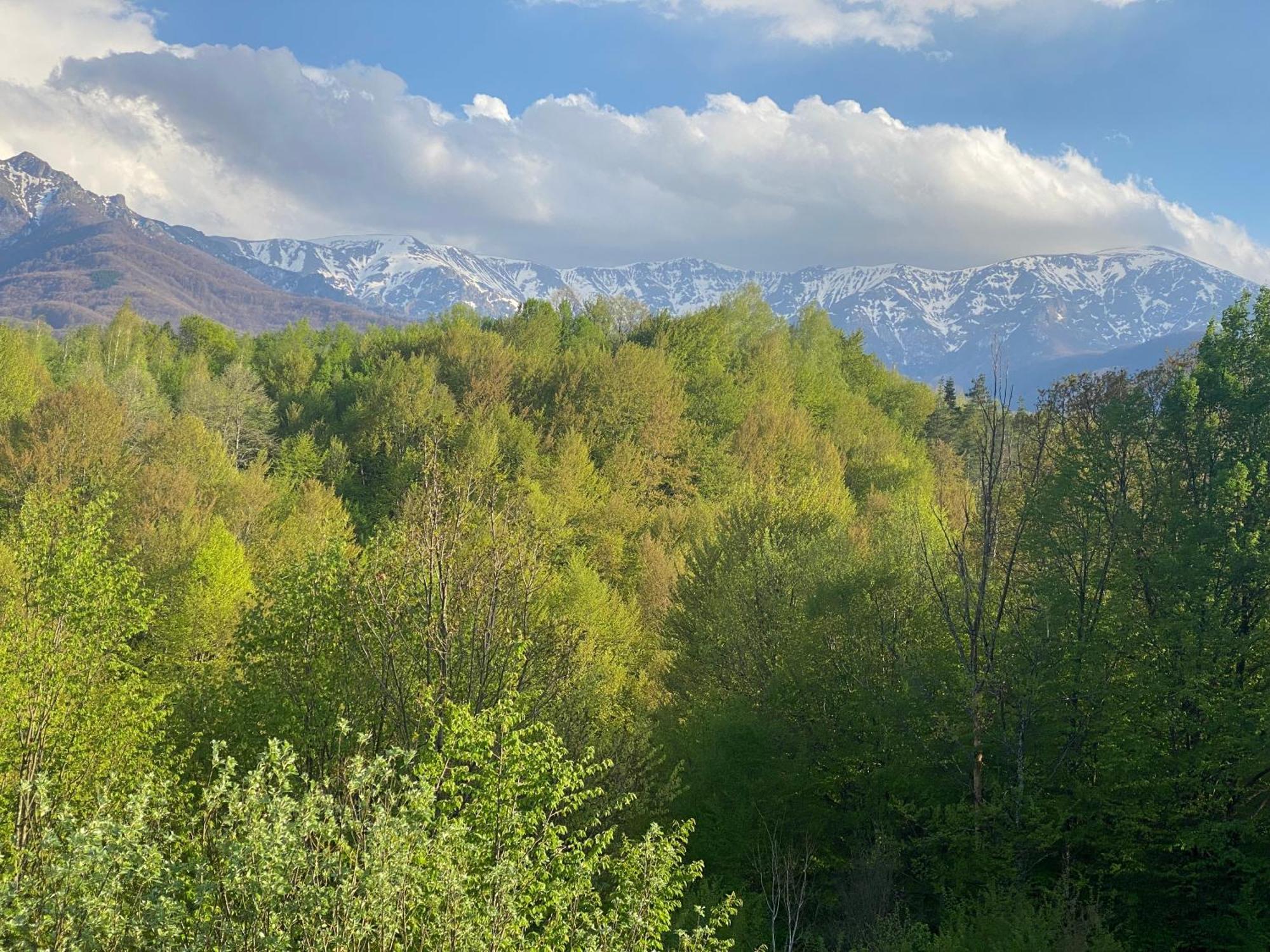 Hotel Tihiat Kat Aprilci Pokoj fotografie